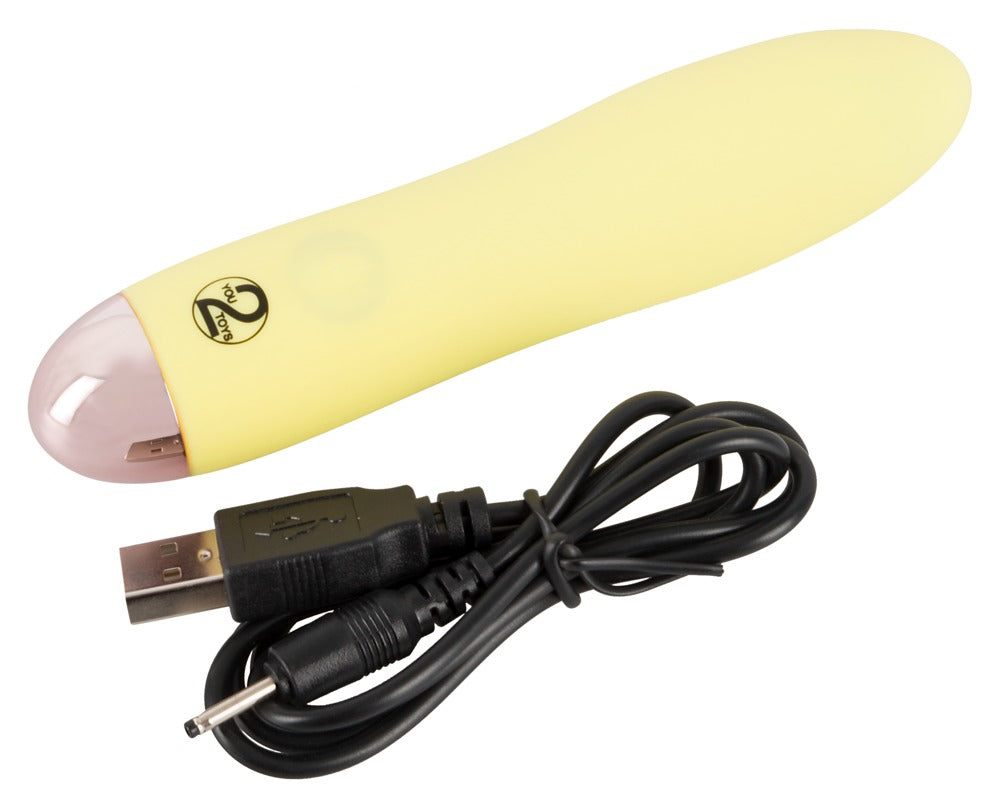 Mini Vibrator